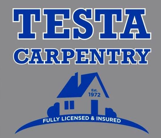 Testa New Logo